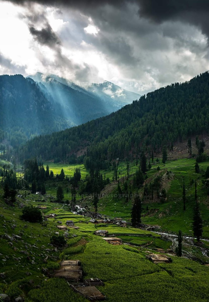 nibrasuddin5's tweet photo. Maneen 
Khanbari, Darel, Gilgit Baltistan 

📷 Sher Ali https://t.co/4cQqPyMG2d