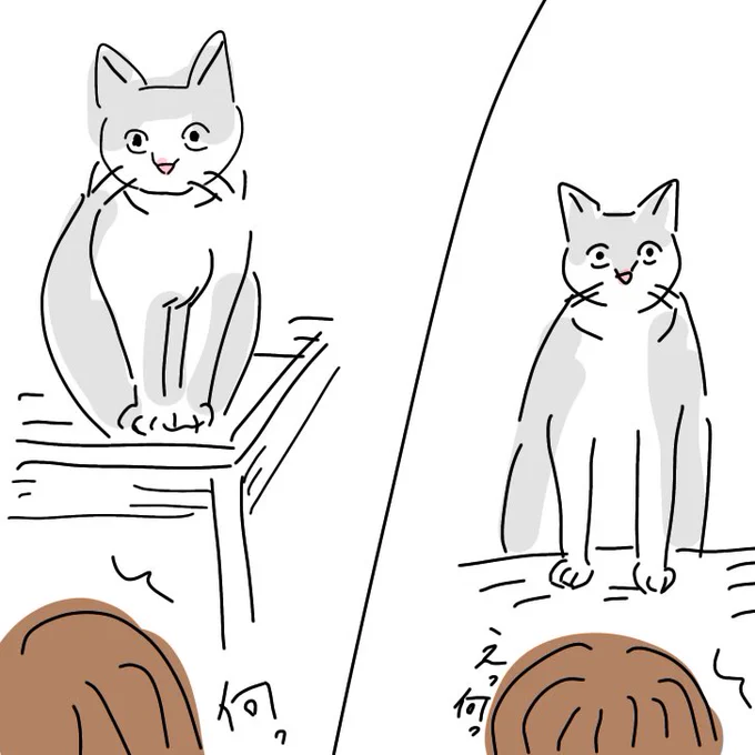 もちちゃん、時々とんでもないもの見たような顔でこっちを見てることがあってびっくりする。ごはん作ってて振り返ったら真後ろにいたり、絵描いてて顔あげたら向かいから身を乗り出してたり。 