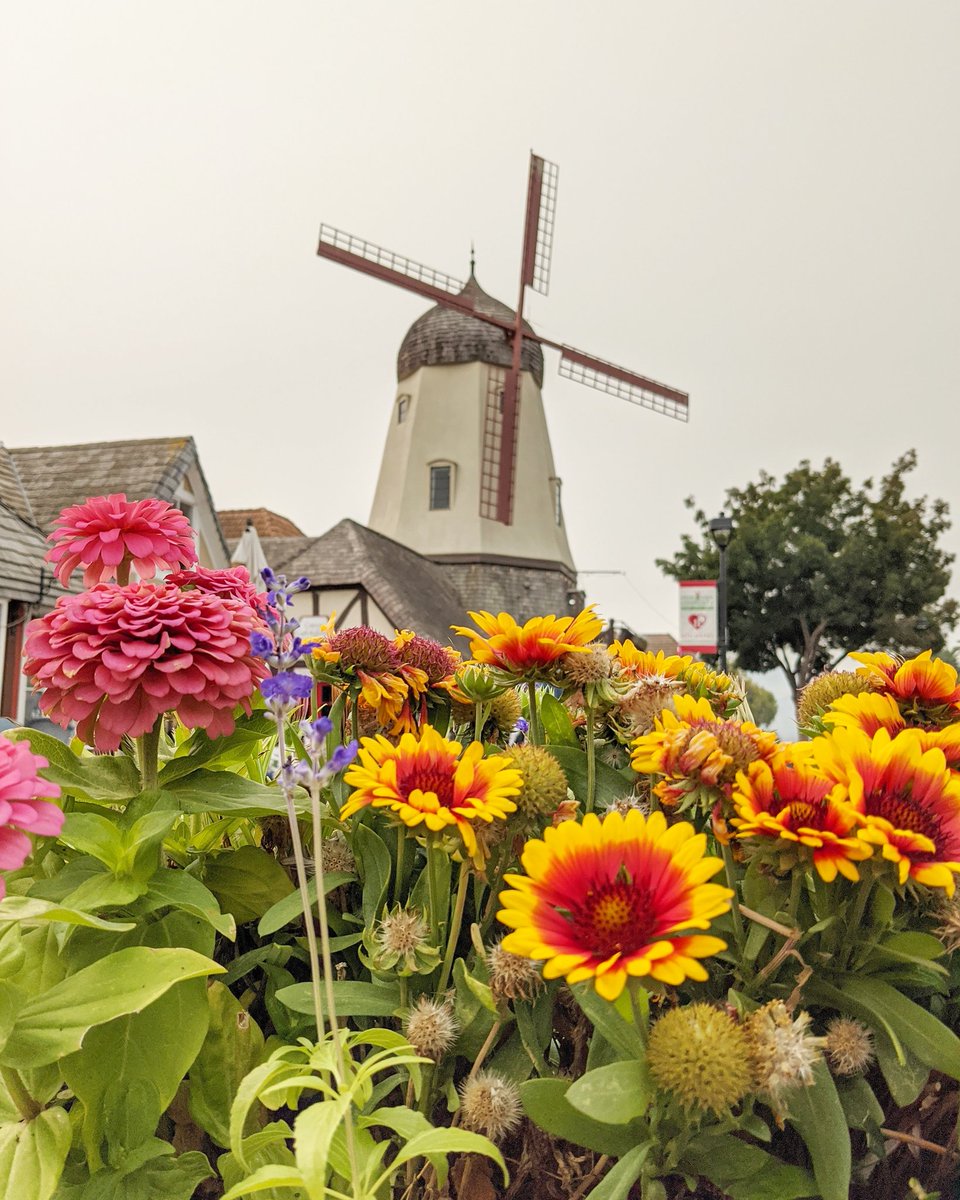 appetitesabroad's tweet photo. Just returned home from an awesome trip to #Solvang, California! Ever been? It's a little Danish town north of Santa Barbara. It was my second visit, and my first night away from home in 6 months 😳. Travel is different right now, but it was still nice to get away and explore. https://t.co/GaYfbSaKtw
