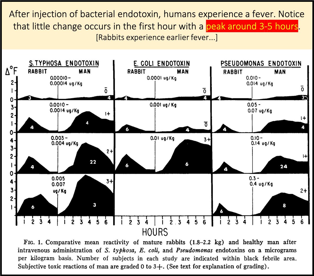 2/Bacteremia exposes us to exogenous pyrogens. For example, the cell wall of gram-negative rods contains lipopolysaccharide (LPS; endotoxin). When injected into humans LPS induces fever. But, there is a 3-5 hour delay between exposure and peak fever. https://pubmed.ncbi.nlm.nih.gov/4897836/ 