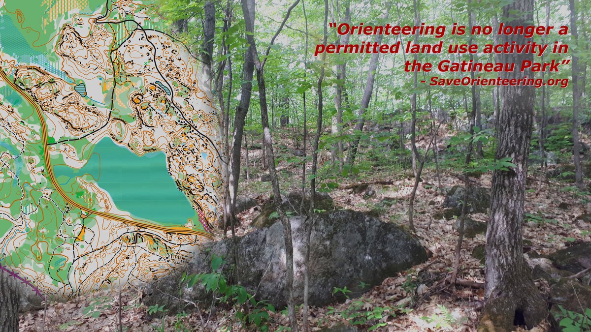 Orienteering Ottawa tweet media