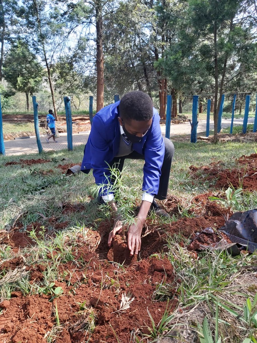 KenyaKYCS's tweet photo. Today we joined together with the archdiocese of Nairobi education office to commemorate the season of creation. We are glad to preserve, conserve and advocate for our mother earth. Just remember there is No planet B.
#SeasonOfCreation
@AgathaSagne
@iycsjeci @IYCSJECI_SG https://t.co/C2UMZ3P7M2