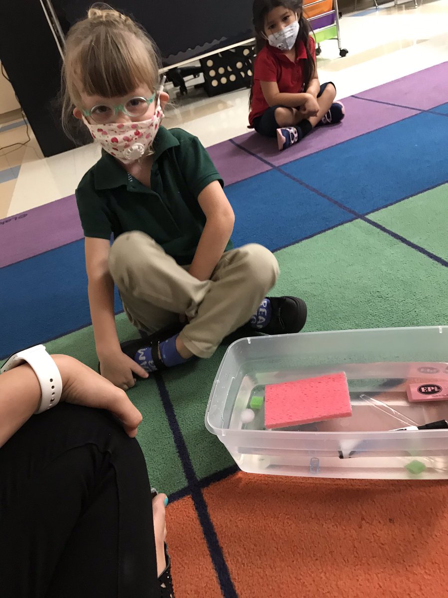 ReidKaylea's tweet photo. Will it sink or float? #walkerpirates #prek #science https://t.co/xNL22HbrXJ