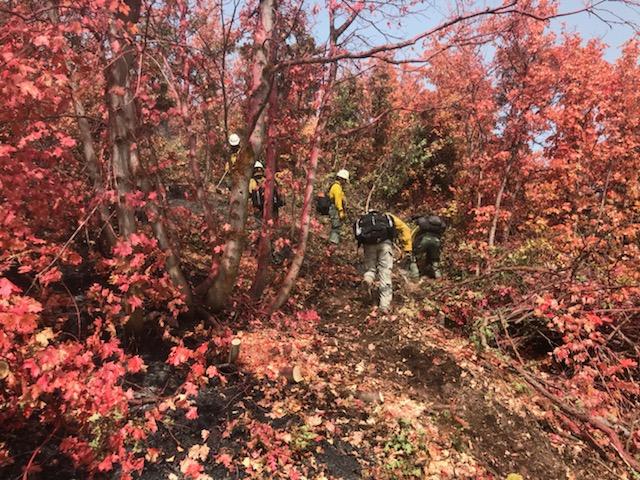The #BattleCreek2Fire is still active, with smoke visible from the valley. Crews are on the ground, working both the perimeter and hotspots, utilizing aerial support as well. Please do not report continued smoke in the fire area