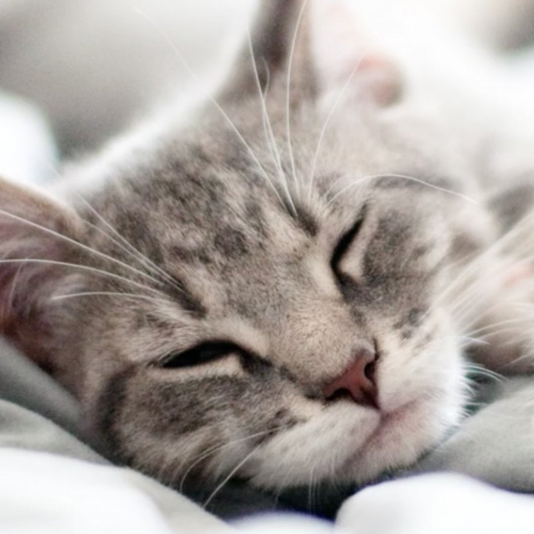 Applied Arts tweet media