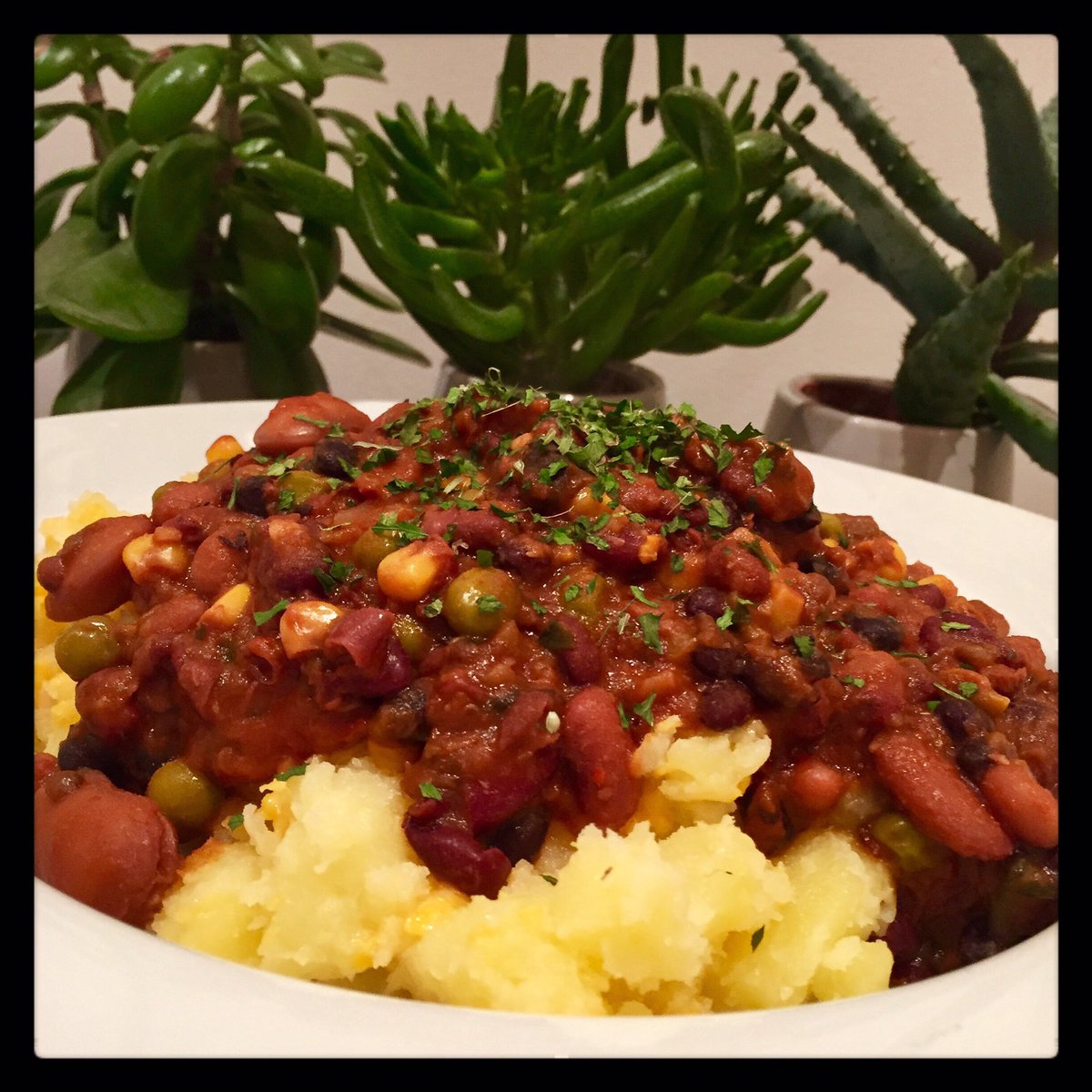 theveganmark's tweet photo. Mixed bean chilli topped cheesy potato #vegan #organic #veganism #veganfood #veganuk #plantbased #dairyfree #nutrition #crueltyfree #compassionateeating #whatveganseat #healthy #healthyeating #foodporn #animalfree #EatForThePlanet #poweredbyplants #veganfood #veganfoodshare https://t.co/xnrAAiNRgc