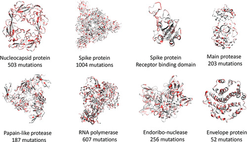 JCIM_JCTC's tweet photo. Decoding SARS-CoV-2 Transmission and Evolution and Ramifications for #COVIDー19 Diagnosis, #Vaccine, and Medicine
https://t.co/dHxIZre1p9
#SARSCoV2
#mostread #Bioiformatics https://t.co/ztEpc0Su3N