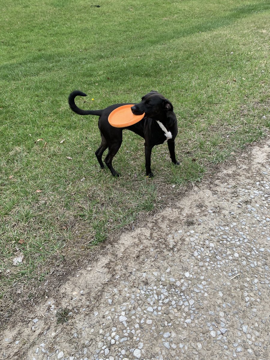 #Carecreditsweepstakes