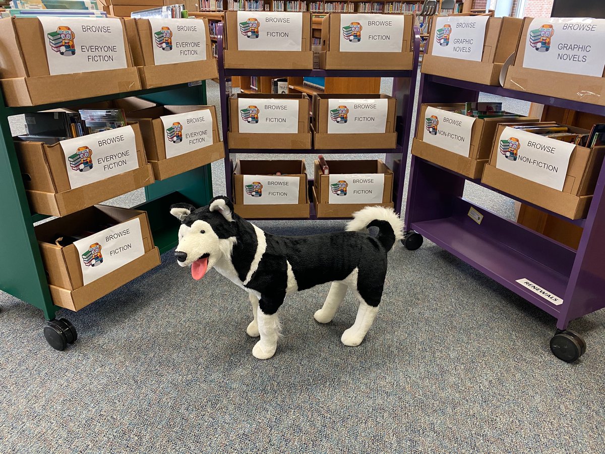 KeishaHilliard's tweet photo. Spent the day packing 350+ books for the #LCPSBookBus that will begin next week. Happy to get books back in the hands of the students. 
@dte_slibrary https://t.co/Bvron9W7yT