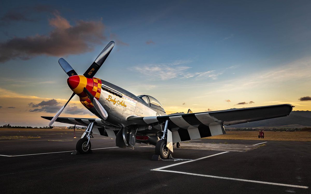 PearlHarborAvi's tweet photo. Did you know the P-51 Mustang was modified by the British to use Rolls-Royce Merlin engines? This modified version, the P-51D, provided the US Army Air Forces with a high-performance, high-altitude, long range fighter. #P51 #P51Mustang #Warbird

📸: Ren Shiroma Photography https://t.co/aS5V06ZjW1