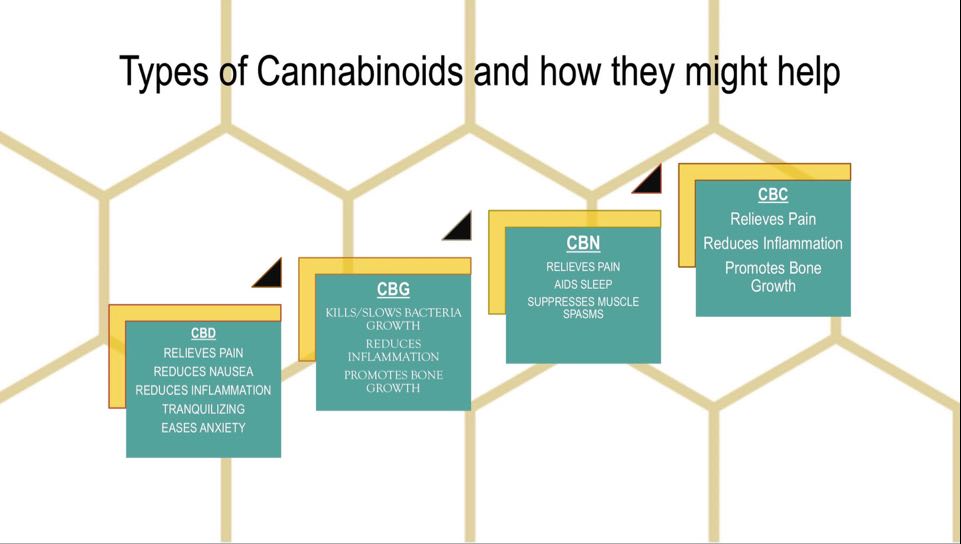 Bee Well Botanicals CBD Online tweet media