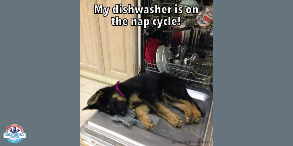 StlCooling's tweet photo. Call today to schedule your appliance repair appointment with West County's #1 Top Rated Technicians. 314-390-6000 https://t.co/v8X7PA66Lw #MemeMonday https://t.co/Eqqy1GKkNi