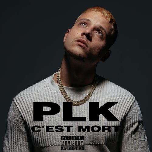 UnRdeRap's tweet photo. 📊 #InstantCertification
📀 Le titre "C'est mort" de @PLK75 est certifié single d'or ! https://t.co/1feb5iRypJ