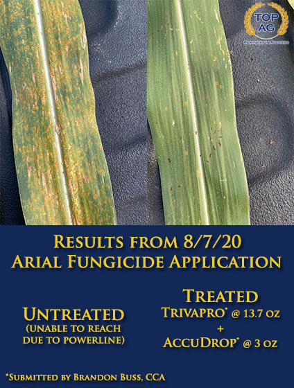 Topagcoop's tweet photo. The graphic below shows why it is important to capitalize on the opportunity to enhance your crop yield through a fungicide application. As you can see, the well-planned fungicide treatment resulted in a significant reduction of disease damage. @SyngentaUS @WinFieldUnited https://t.co/hTuw2rPFAN