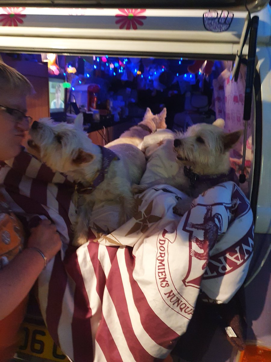 RooRadley's tweet photo. Oooh how exciting #WESTIEGREENHQ 💚 iz camping in da garden and der pals @popsiepants have come to stay in theirs for a week! #Holibobs #TheAdventuresofRoobieandRadley #ZSHQ #westie #dogsoftwitter #Ruffriders https://t.co/yJrF4fnqUX
