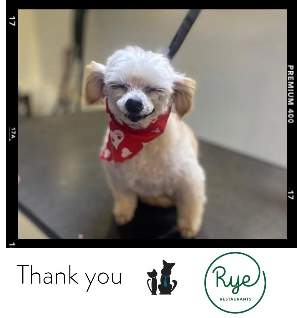 We’re thrilled to welcome back Rye Restaurants as a Party for the PAWS sponsor! They're the group behind <a href="/thegeneralmuir/">The General Muir</a> , <a href="/westeggcafe/">West Egg Cafe</a> , <a href="/fredsmeatbread/">Fred's Meat & Bread</a> , <a href="/yallaATL/">Yalla</a> , <a href="/TGMbread/">TGM Bread</a> , &amp; <a href="/woodschapelbbq/">Wood's Chapel BBQ</a> . Try these tasty restaurants &amp; feel good knowing they give back to animals.