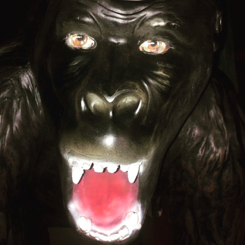 BrewingGorilla's tweet photo. The latest addition to the team arrived today! #GorgeousGeorge #TeamGorilla 🦍 #CraftedInYorkshire #HandCraftedBeer https://t.co/lgSI2rhGuu