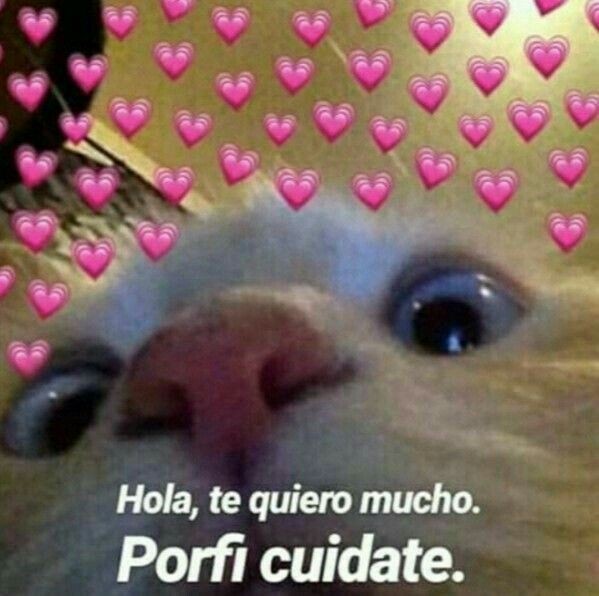 adoreyou_chris's tweet photo. @strangeftevans te extraño y te amo un montón a ti y a tu icono de Ransom 💙💙 https://t.co/AQ1Smcc3Yt