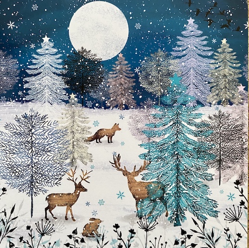 We're delighted to announce that the Guild's online shop is open once again, with a brand new range of Christmas cards, our 2021 calendar, new books, and special offer hoodies. tinyurl.com/y39bf74k