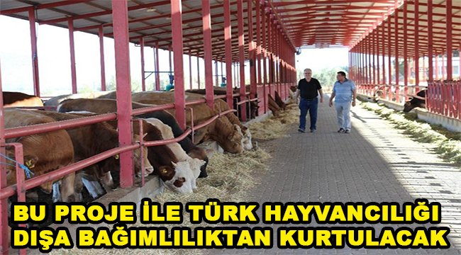 Bu proje ile Türk hayvancılığı dışa bağımlılıktan kurtulacak reeltarim.com.tr/bu-proje-ile-t… <a href="/RTErdogan/">Recep Tayyip Erdoğan</a> <a href="/dbdevletbahceli/">Devlet Bahçeli</a> <a href="/BeratAlbayrak/">Berat Albayrak</a> <a href="/bekirpakdemirli/">Dr. Bekir Pakdemirli</a> <a href="/drfahrettinkoca/">Dr. Fahrettin Koca</a> <a href="/fahrettinaltun/">Fahrettin Altun</a> <a href="/KOzcan15/">Kamil Özcan</a> #YerliveMilli