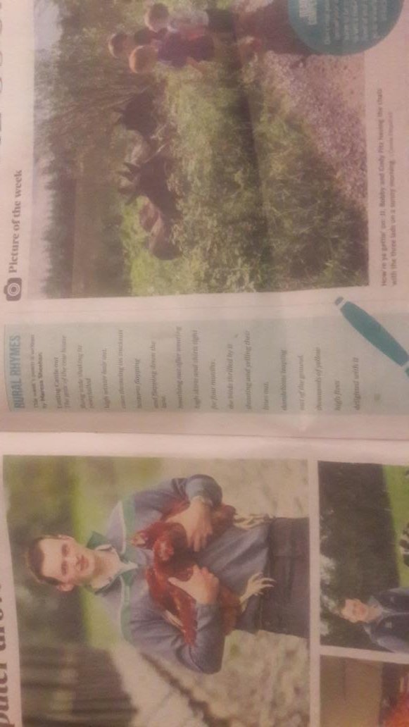 MaresaSheehan's tweet photo. Delighted to have my poem "Letting Cattle Out" published in @IrishCountryLiv by editor @amiical  Credit is due to publications like @farmersjournal for giving poetry air. Thank you. Also love the tweet of the week on this page by @juneshannon, hilarious. #poetry https://t.co/FUSDWHhZ4K