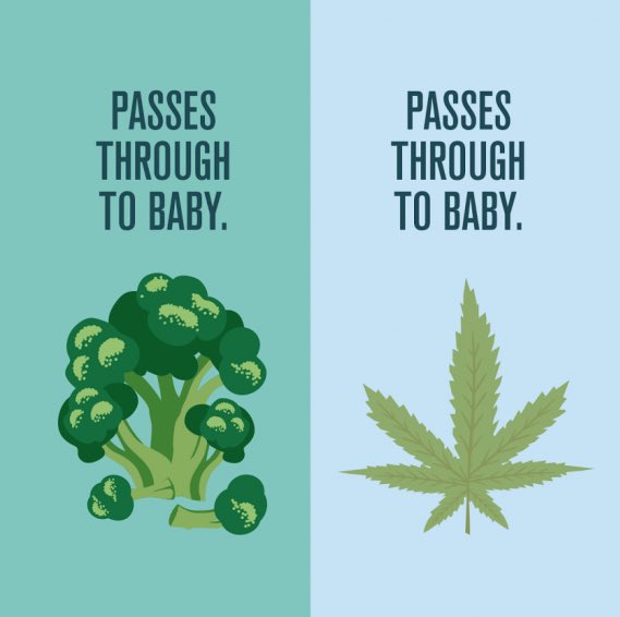 WeedRecs's tweet photo. If you’re pregnant or breastfeeding, please don’t consume cannabis. #noifsandsorbuts https://t.co/veWf9IhZoB https://t.co/iVEOJEyALZ