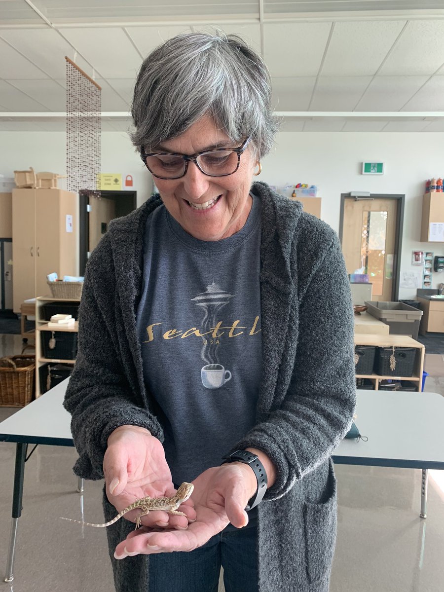 kfidelack's tweet photo. Pre-K has a new class pet! Meet Sandy the bearded dragon. An exciting new adventure for us all that I’m sure will lead to lots of Science knowledge and Spiritual learning as we care for a living thing and watch it grow and change. #ClassPet #HBCSpride #prek https://t.co/JOBz9q45z7