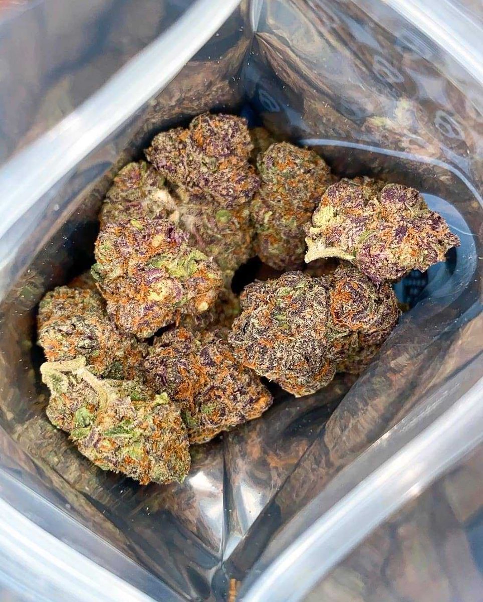 Slurricane to beat the #MondayGrind.

📸: instagram.com/93octanecannab…
🌲: (Do-Si-Dos x Purple Punch) In-House Genetics