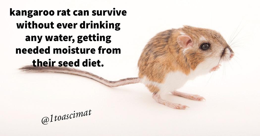 1toascimat's tweet photo. Did you know?
Follow 👉 1toascimat
#science #sciencefiction #sciencenews #ScienceMatters #sciencehastaughtmethat #scienceofreading #scienceisawesome #sci https://t.co/WQpdbI1Mer https://t.co/RlvwOZbvrR https://t.co/0Pz5ku8fsK https://t.co/JDOUv0dcgF