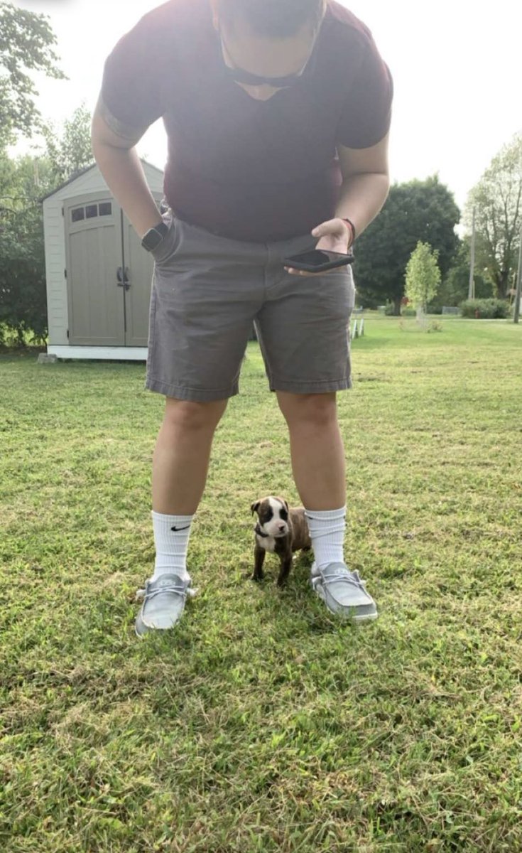 warren_chey's tweet photo. newest addition to our little fam. ❤️ https://t.co/MHUrwAZwTJ
