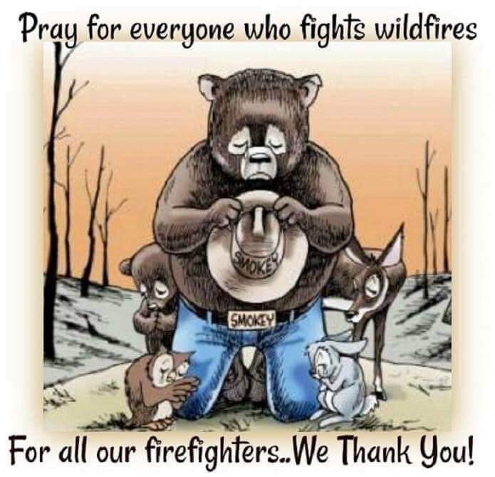 Step One Survival tweet media