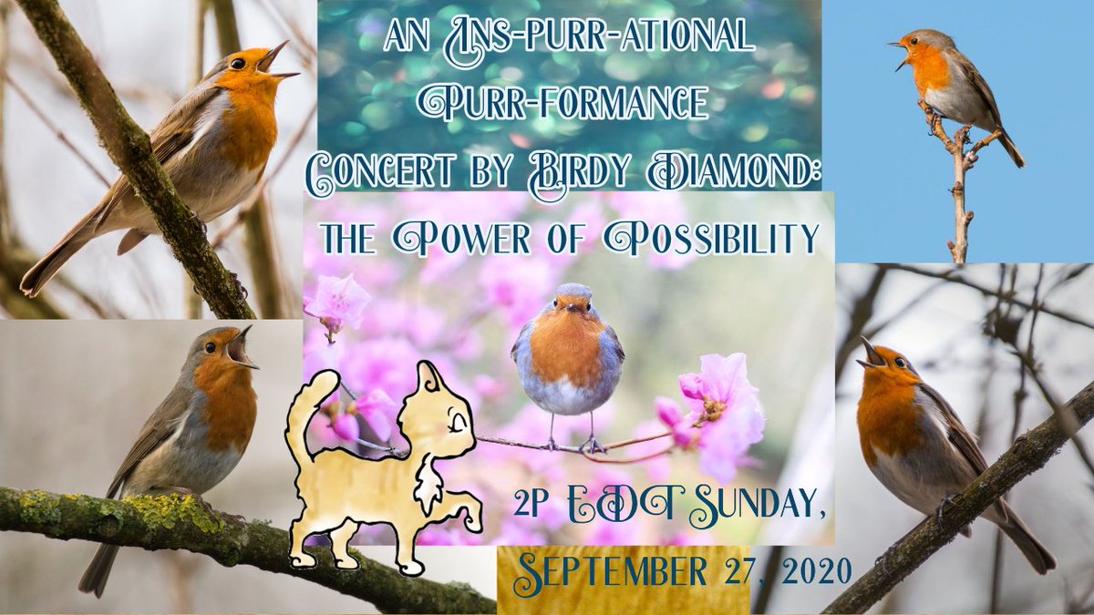 EncouragingBird's tweet photo. The Power of Possibility. The power of options, of chances, of new horizons. Join me for a concert chock full of possibility, expressed in poetry, prrrose, and mewsic.: https://t.co/zLsSoJ0cCc 

#PoetryLovers #MusicMonday #PoetryCommunity #WritingCommunity #MusicIsLife https://t.co/m0DfQp5Qbd