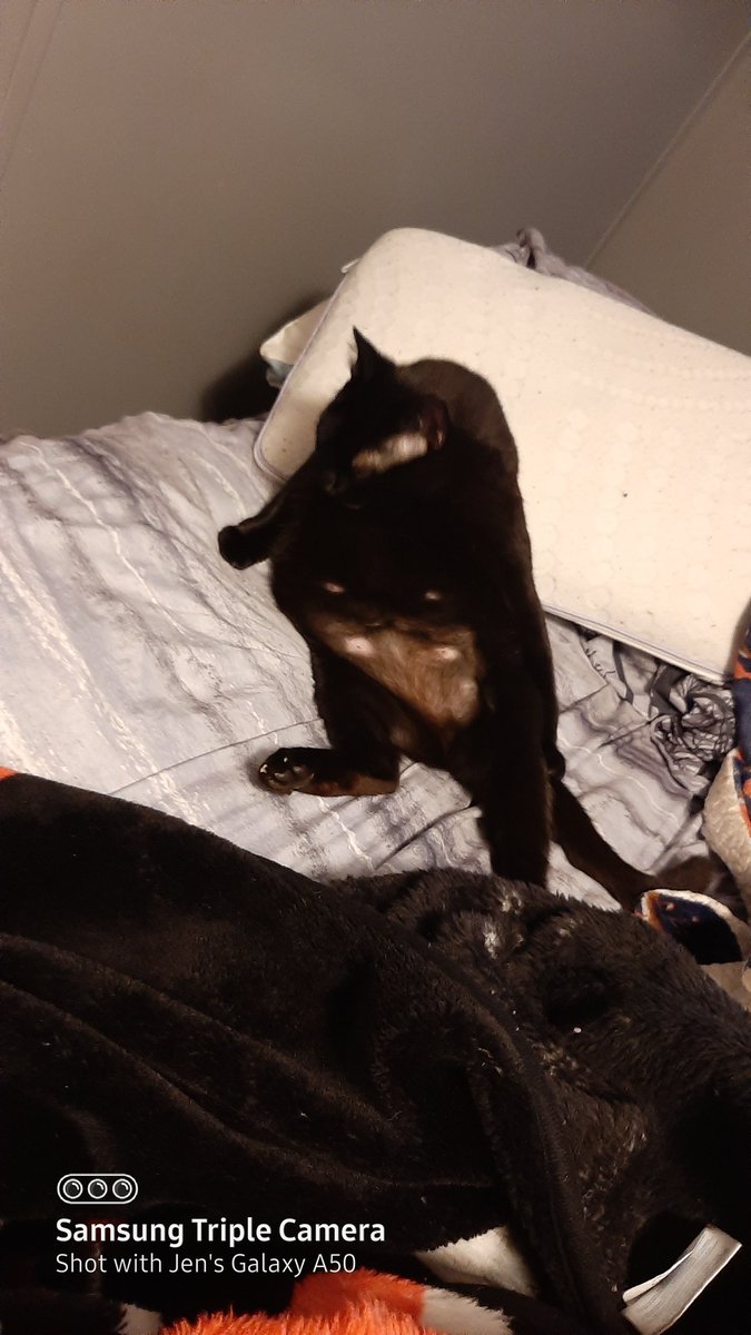 Sweet Bear tryin to stay clean #creditcaresweepstakes