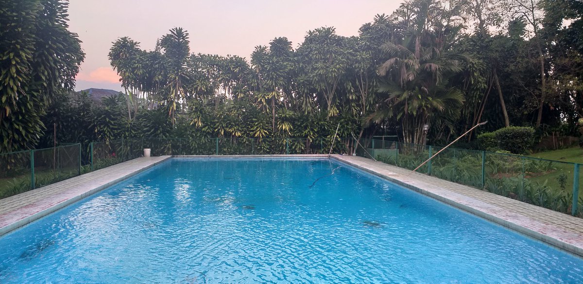 BubuPoint's tweet photo. Haiii Bubupoint Lovers !!!
Travel makes one modest. You see what a tiny place you occupy in the world.
Villa Shinta Managed By Bubupoint
https://t.co/Hmfs0JrHwM
#bubupoint #channelmanager #revenuemanagement #ecommerce #digitalmarketing #hotel #hotelonlinemarketing https://t.co/pQI6IZ23kS