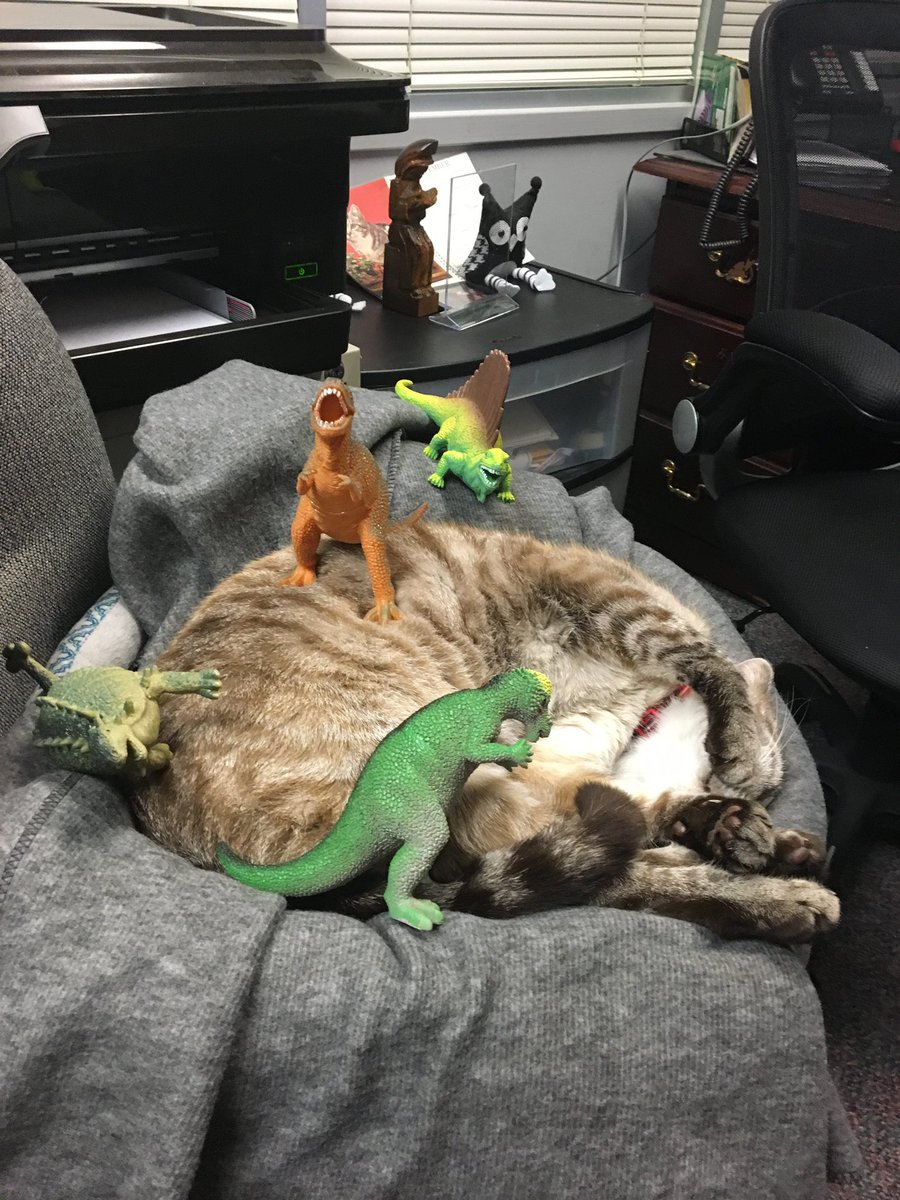 Hillary Russell tweet media