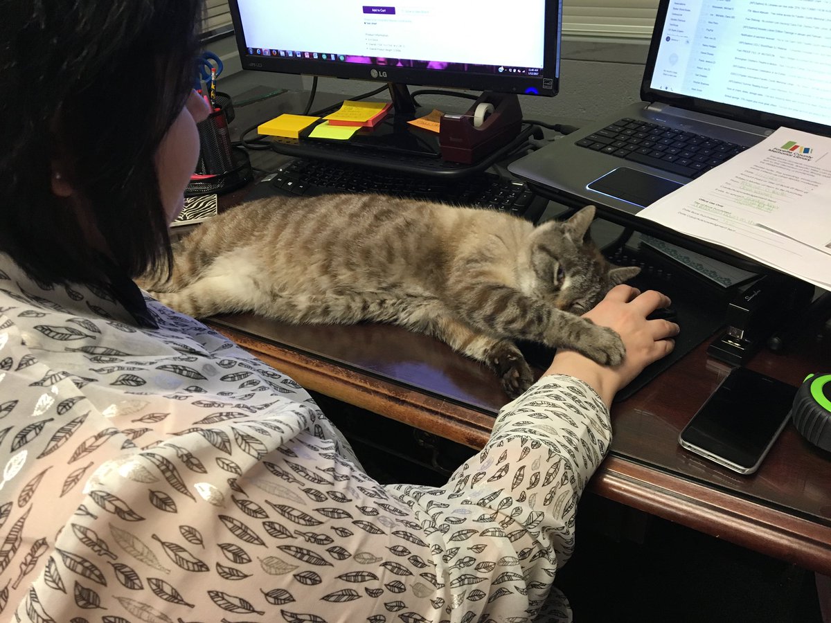 Hillary Russell tweet media