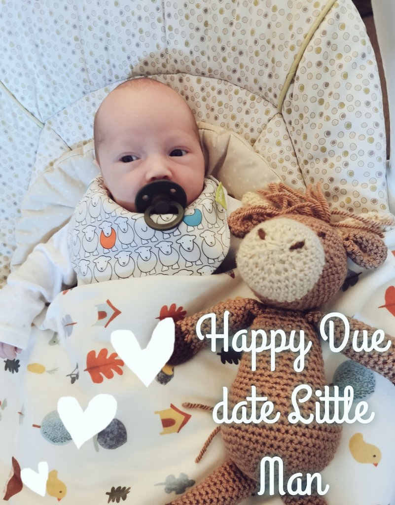 HeleddMair28's tweet photo. 3 extra weeks with our precious little man. Very lucky parents @PhillGrugtexels  Absolutely Besotted and So in Love. 🥰😍💙 #proudparents #lucky #babyboy #OurWorld #3weeksearly #3extraweeks #ourboy https://t.co/GB29PgLsY0
