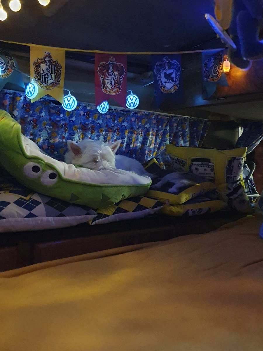 Wees have had a luvly Day on da first day of uz Holibobs wiv Da three Amigos ,Auntie Charlie and Mummy wees,all wery tired now so Night Night #ZSHQ #Ruffriderz <a href="/RooRadley/">Roobie, Radley & Rozie WestieGreenHQ</a> <a href="/BooBustie/">Buster 🐶💙🐾 - Fly High Toby 🌈🐶🐾💔</a> <a href="/Helen09Porter/">Finlay the Westie & his Mom</a> <a href="/SuzyYoung24/">Oreo(foster)🐶Mum Suzy 😇😇Buddy&Rocky🌈😪💔</a> <a href="/SharonGodfrey7/">Sharon Godfrey</a> @WilliamTheGinge