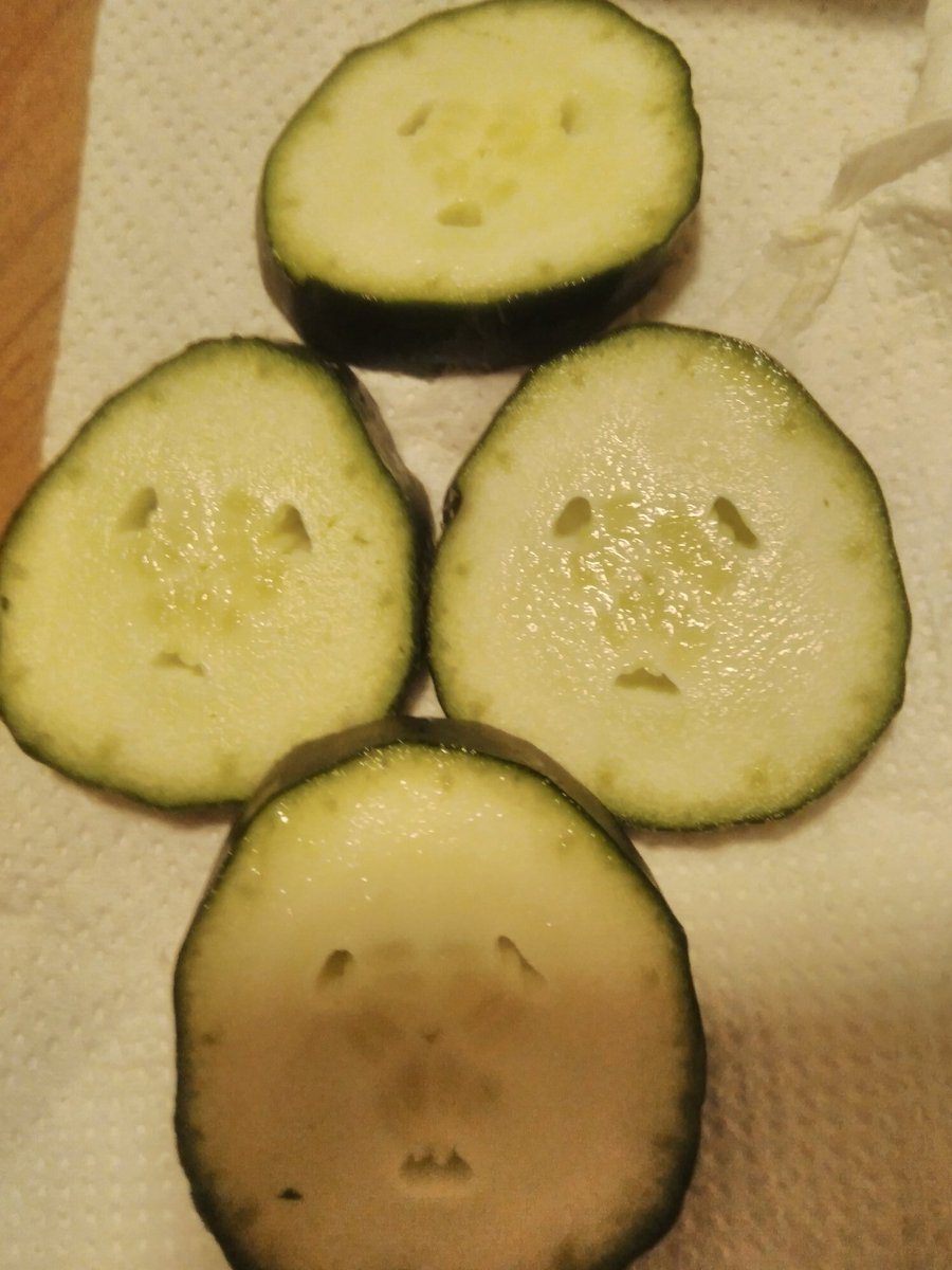 RosBlack's tweet photo. Sad cucumbers #endoftheholiday But it is high time to go home #homebound #cucumberfun https://t.co/ENJ6bkoGDG