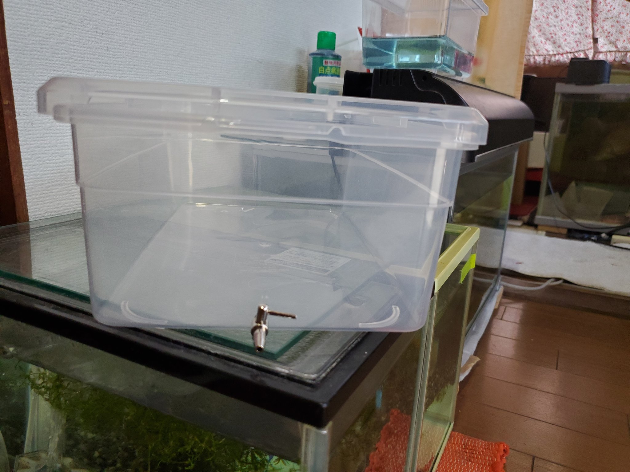 しょう オリジナルのブラインシュリンプ孵化器作ってみた まだ ブラインシュリンプ自体買ってないから使ってないけど笑 T Co Ugflvwstzc Twitter