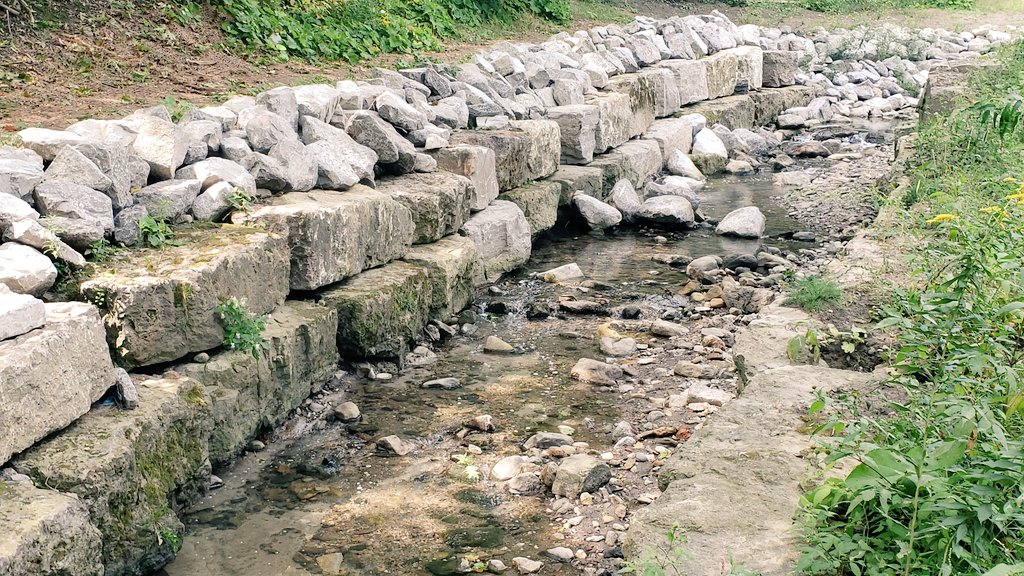ICEGardner's tweet photo. Exploratory &amp; planning walks continue. The ICE Team is at it again -- searching out primo public spaces to share with our students. Hoping to ignite their love of the city's ravines, creeks and hidden spaces #yorklearns #icewrites @aitkenhead13 @trossteaches @ICEThornton15 https://t.co/EcdltLarpX