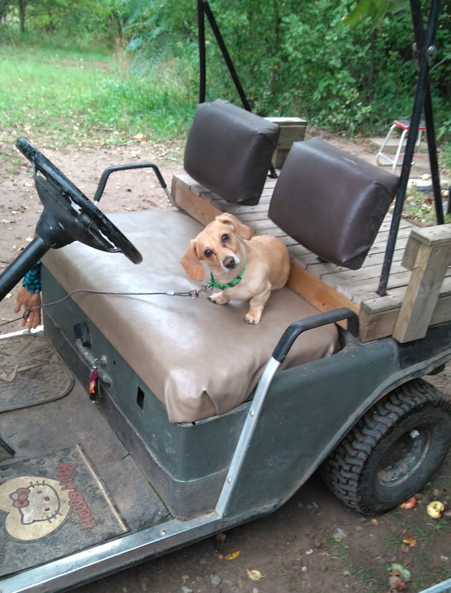 mxzombie's tweet image. "Hey Dad, can I drive?"