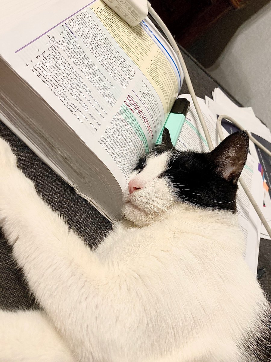beofthenut's tweet photo. Finals week mood https://t.co/KLPpmJCrw2