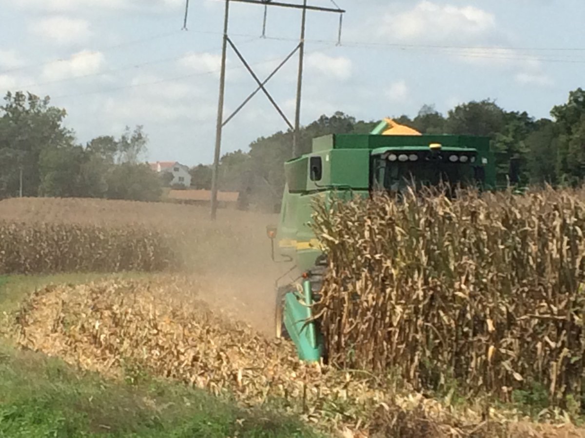 First field #harvest2020