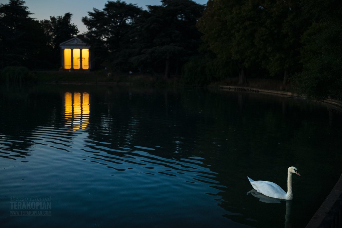 terakopian's tweet photo. The solitary swan as the night settles in. Leica SL2 with a Leica APO Summicron 35mm lens. @Leica_UK @leica_camera #leica #leicasl2 #lmount #lmountalliance #swan #lake #bluehour #daysend #APOSummicron #lowlightphotography #availablelightphotography #gunnersburypark https://t.co/77OdQ6CEvM