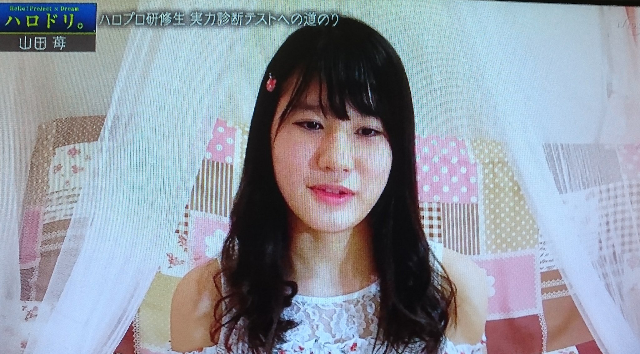 献血君 21 山田苺 さんの部屋 お姫様見たいな 部屋だな ハロドリ ハロプロ研修生 献血君 21 山田苺 さんの部屋 お姫様見たいな 部屋だな ハロドリ ハロプロ研修生