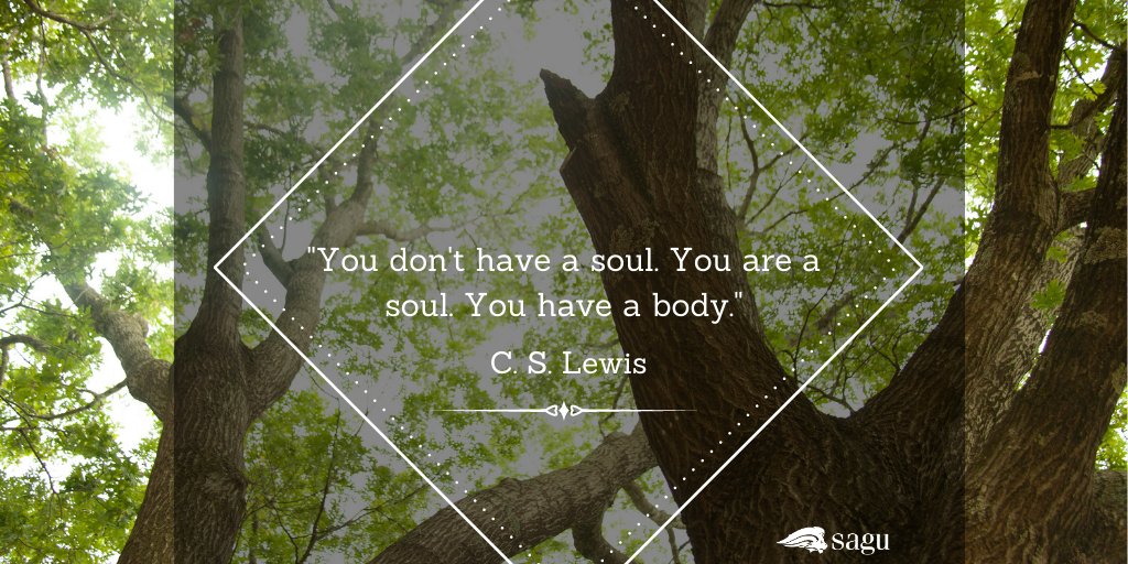 nelsonuedu's tweet photo. If you're ever looking for spiritual insight, C.S. Lewis can be a great source! #MondayMotivation #PerspectiveChanged #LiveForEternalThings https://t.co/dqjfbe1R7i