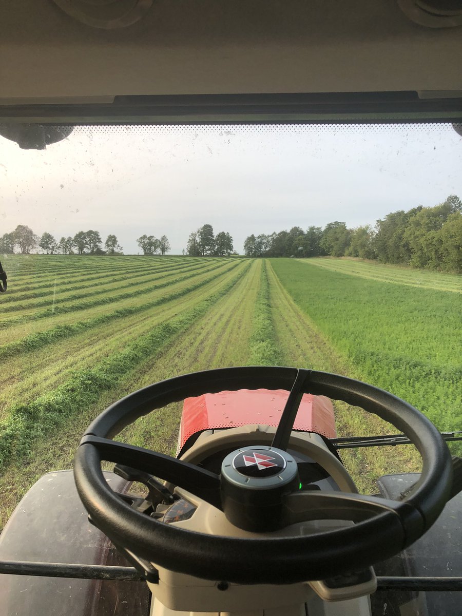 John__Alexiou's tweet photo. Alfalfa getting its last hair cut for 2020 #3rdcut https://t.co/qsA3pp2o03
