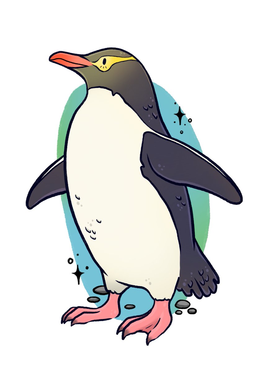 I don't know how to twitter, do I make a whole new tweet or do I reply to my own post? I'll try this way.Here is a Hoiho, also known as a yellow-eyed penguin. Their te reo name translates to 'noise shouter' due to the noises they make during breeding season.