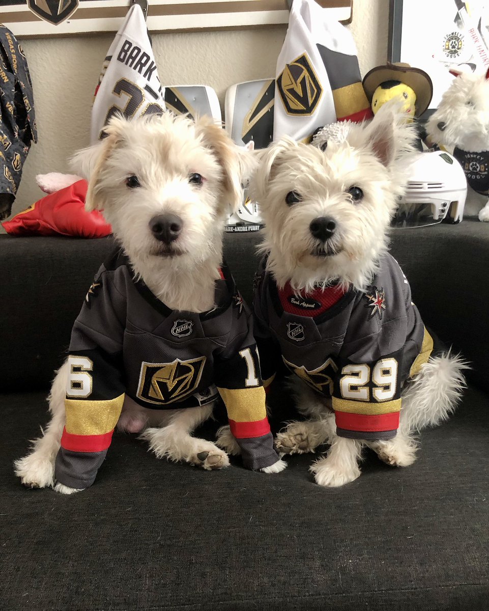BarkAndreFurry's tweet photo. Western Conference Final - Game 5
@DallasStars
vs
@GoldenKnights
There is no tomorrow!
LET’S DO THAT HOCKEY!
~ Bark🐾
#GoKnightsGo #VegasBorn #DALvsVGK #StanleyCup #WesternConferenceFinal #ShowMeTheCookies #GameFace https://t.co/7AkhFxabWN